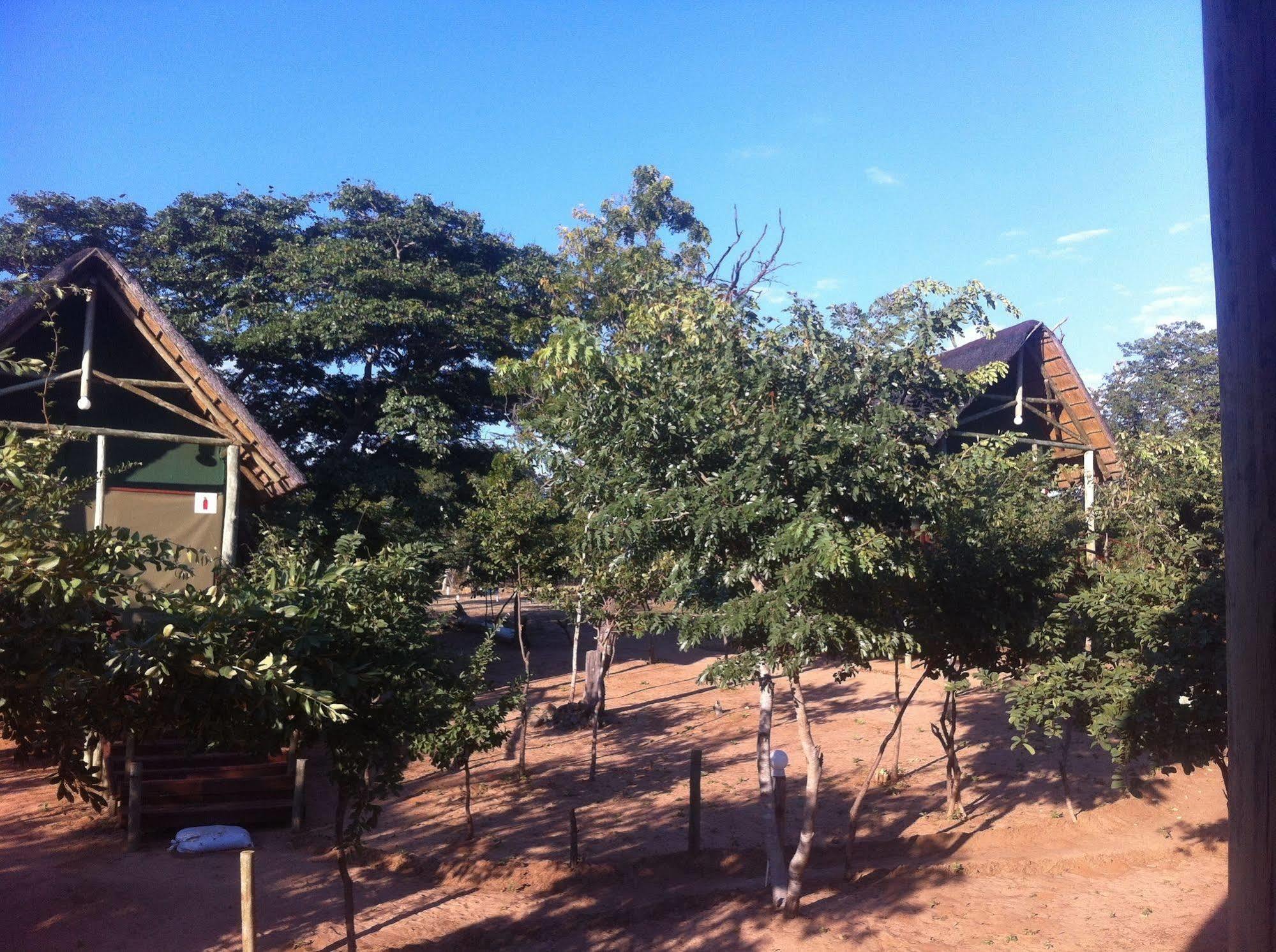 Lion Roars Lodge Lesoma Exterior foto