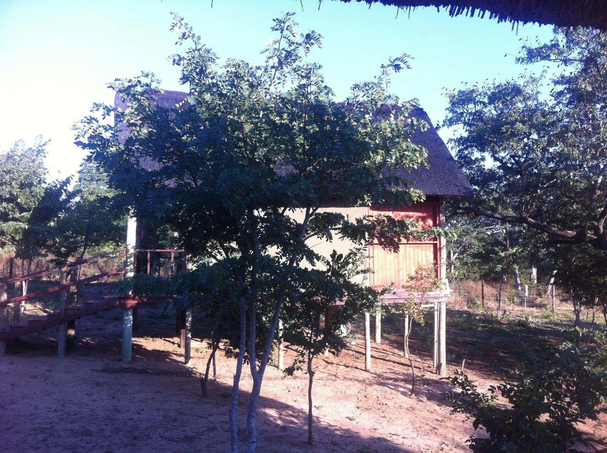 Lion Roars Lodge Lesoma Exterior foto