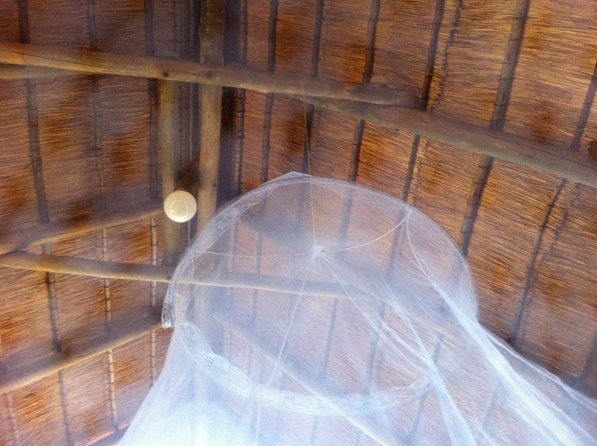 Lion Roars Lodge Lesoma Exterior foto